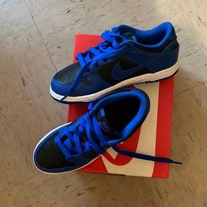 Kids Dunk low (PS)